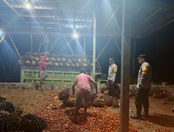 Personil Polsek lamandau Sambang dengan Masyarakat yang sedang bekerja