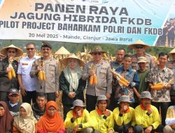 Kakorbinmas Baharkam Polri panen raya jagung hibrida bersama FKDB: Kolaborasi strategis wujudkan ketahanan pangan nasional