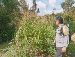 Mendukung Ketahanan Pangan, Personil Polsek sanaman mantikei Cek Lokasi Pemanfaatan Pekarangan Warga.