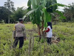 Dukung Ketahanan Pangan, Bhabinkamtibmas Polsek Bulik Silaturahmi ke masyarakat terkait Program Asta Cita Presiden RI
