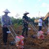 Polres Katingan Laksanakan Penanaman Jagung Serentak Kuartal III