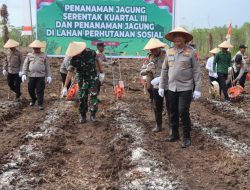 *Polda Kalteng Sukses Gelar Penanaman Jagung dan Tanaman Produktif Untuk Ketahanan Pangan*