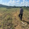 Kapolsek Lamandau Cek Lokasi Lahan Penanaman Jagung dalam program ketahanan pangan