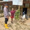 Dukung Ketahanan Pangan, Bhabinkamtibmas Sambangi Peternak Kambing