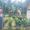 Dukung Ketahanan Pangan, Bhabinkamtibmas Polsek Bulik Silaturahmi ke masyarakat terkait Program Asta Cita Presiden RI
