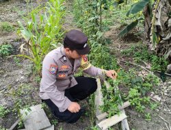 Bhabinkamtibmas Polsek Katingan Kuala cek lokasi pemanfaatan pekarangan rumah warga binaan