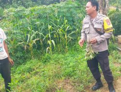 Dukung Ketahanan Pangan, Bhabinkamtibmas Polsek Bulik Silaturahmi ke masyarakat terkait Program Asta Cita Presiden RI