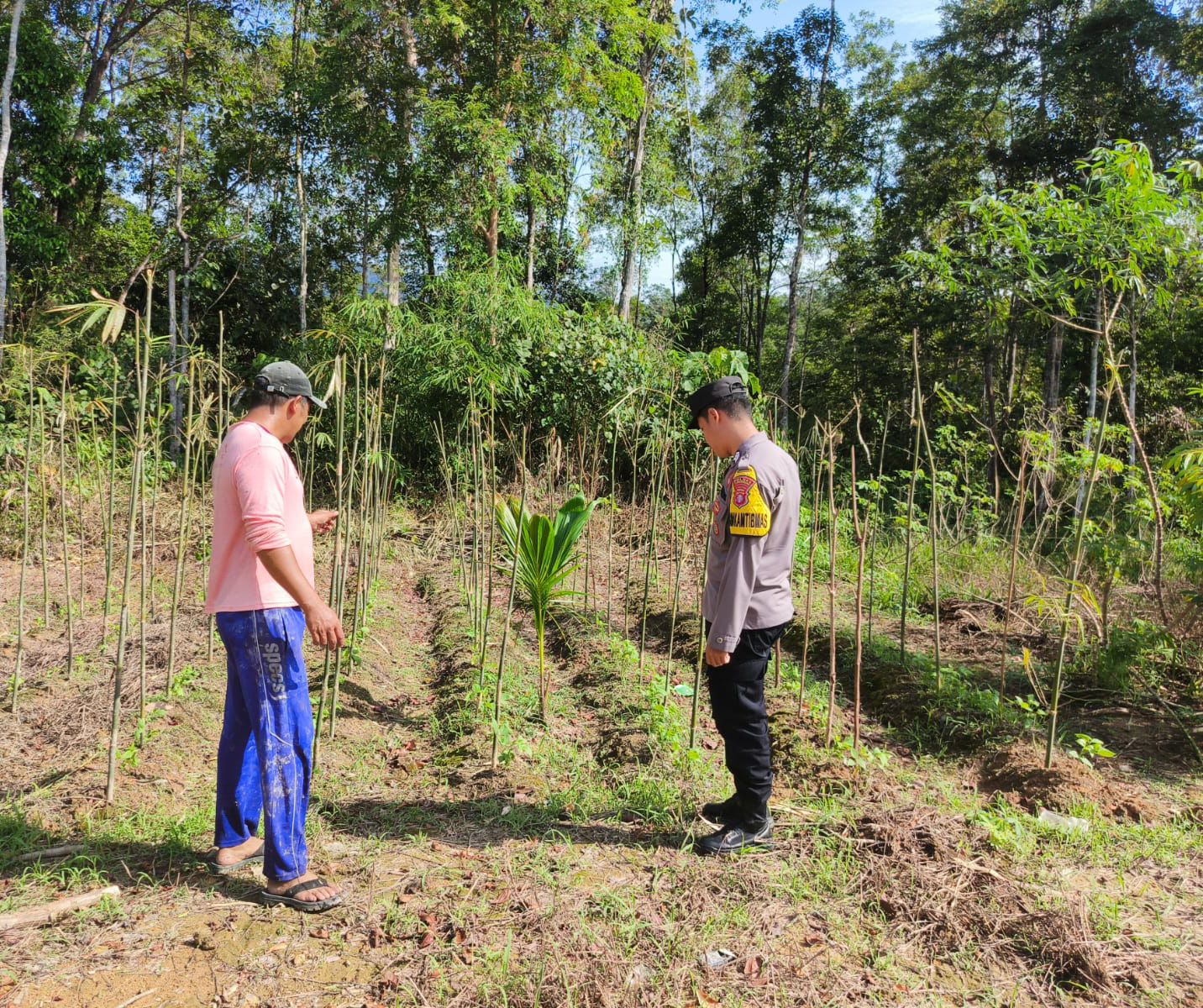 Dukung Ketahanan Pangan, Bhabinkamtibmas Polsek Delang Silaturahmi ke masyarakat terkait Program Asta Cita Presiden RI