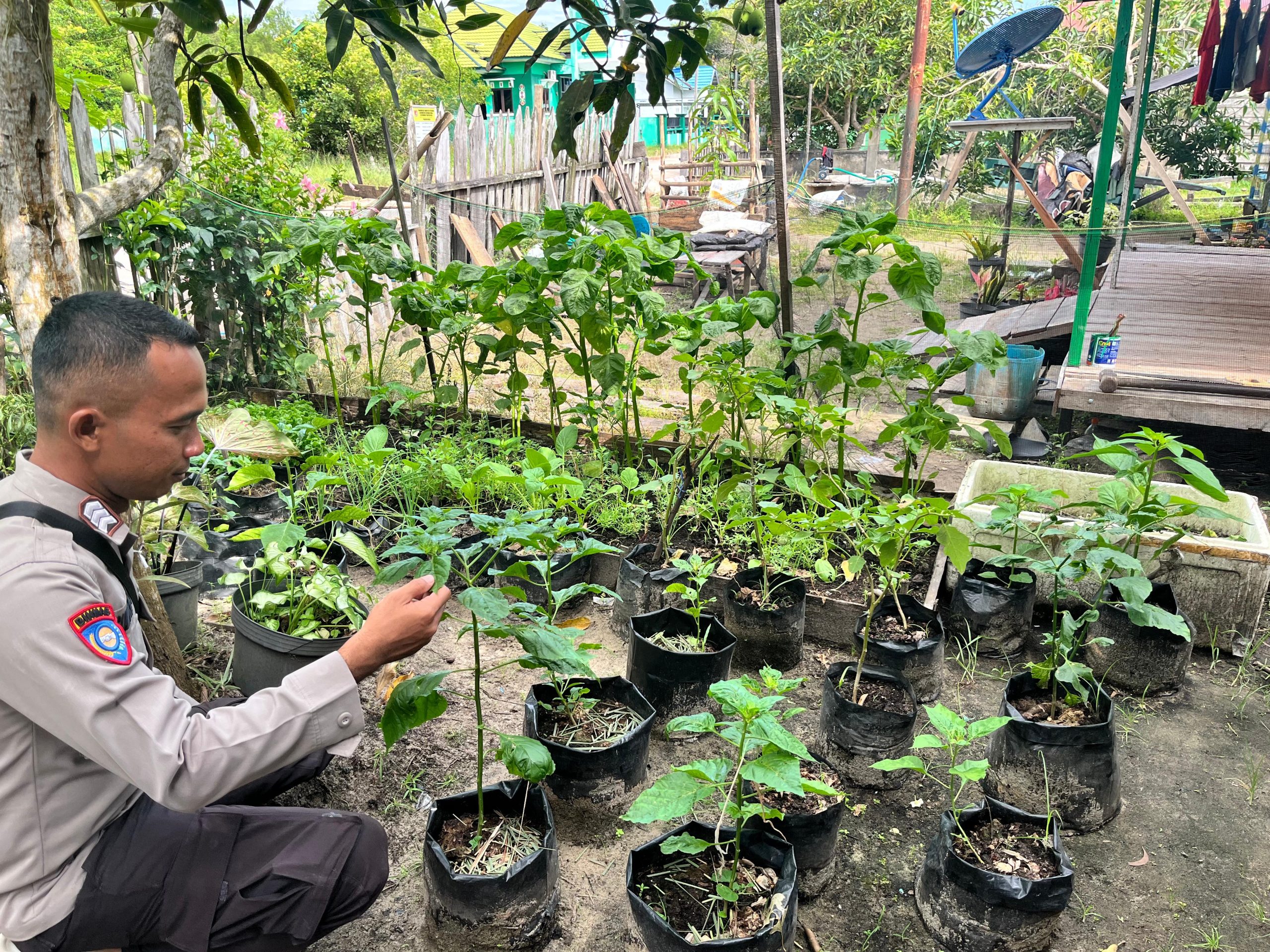 Bhabinkamtibmas Polsek Katingan Kuala Melakukan Pengecekan Lokasi Pemanfaatan Lahan Pekarangan Warga