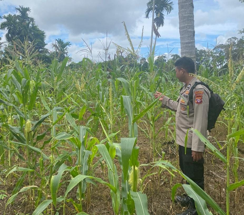 Mendukung Ketahanan Pangan, Personil Polsek sanaman mantikei Cek Lokasi Pemanfaatan Pekarangan Warga.