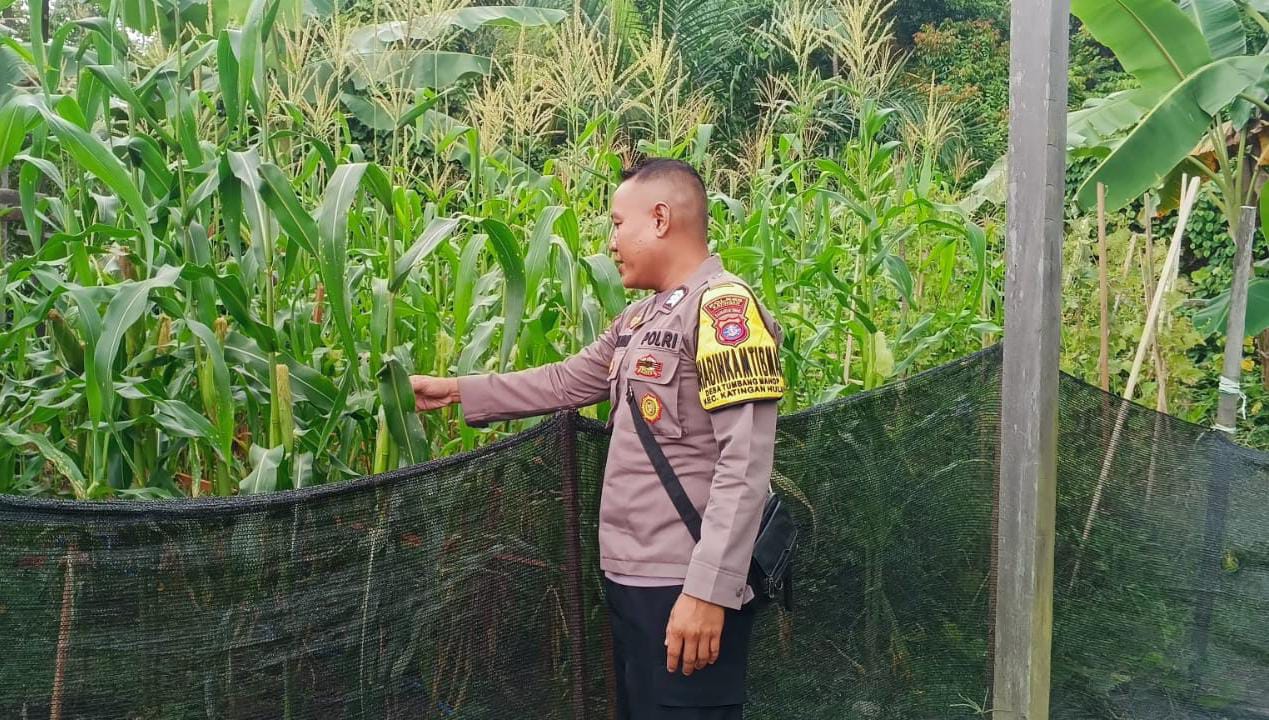 Bhabinkamtibmas Polsek Katingan Kuala cek lokasi pemanfaatan pekarangan rumah warga binaan