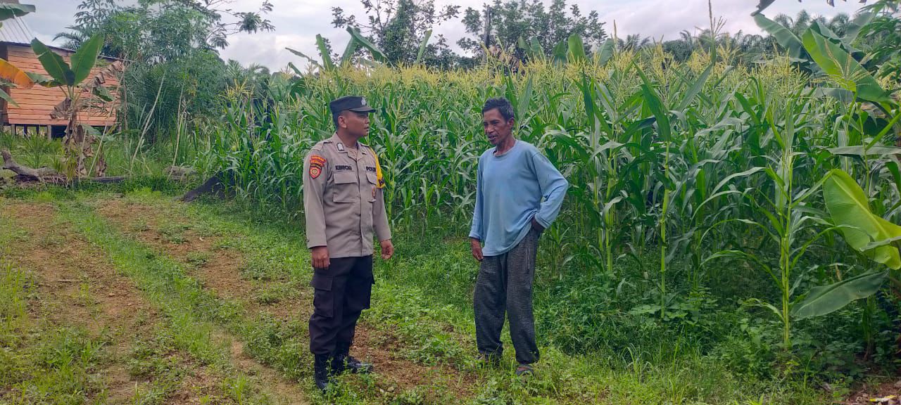 Dukung Ketahanan Pangan, Bhabinkamtibmas Polsek Bulik Silaturahmi ke masyarakat terkait Program Asta Cita Presiden RI