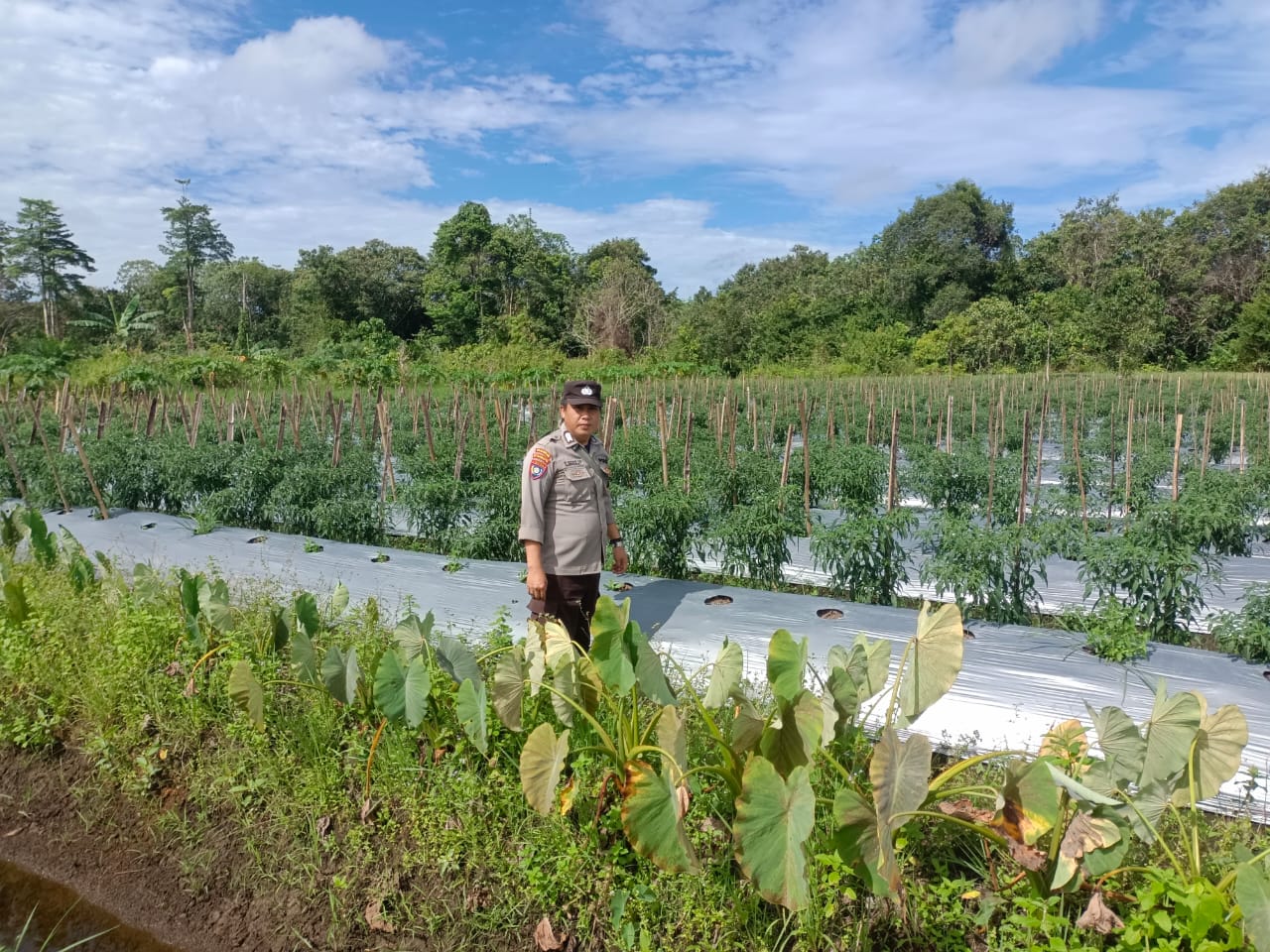 Dalam Rangka Mendukung Program Pemerintah, Bhabinkamtibmas Polsek Mendawai Cek Lokasi Pemanfaatan Lahan Pekarangan Warga