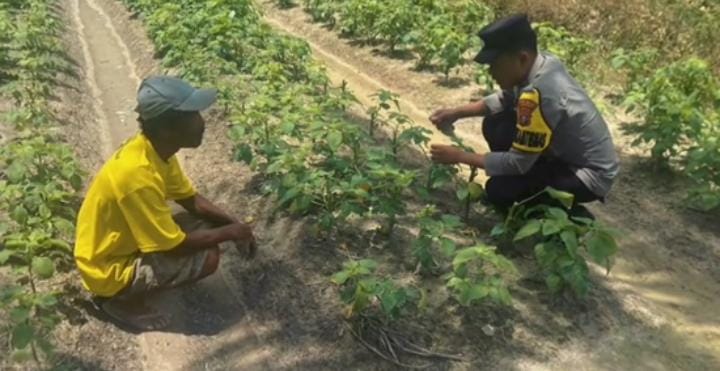 Dukung Ketahanan Pangan, Bhabinkamtibmas Polsek Sematu Jaya Silaturahmi ke masyarakat terkait Program Asta Cita Presiden RI