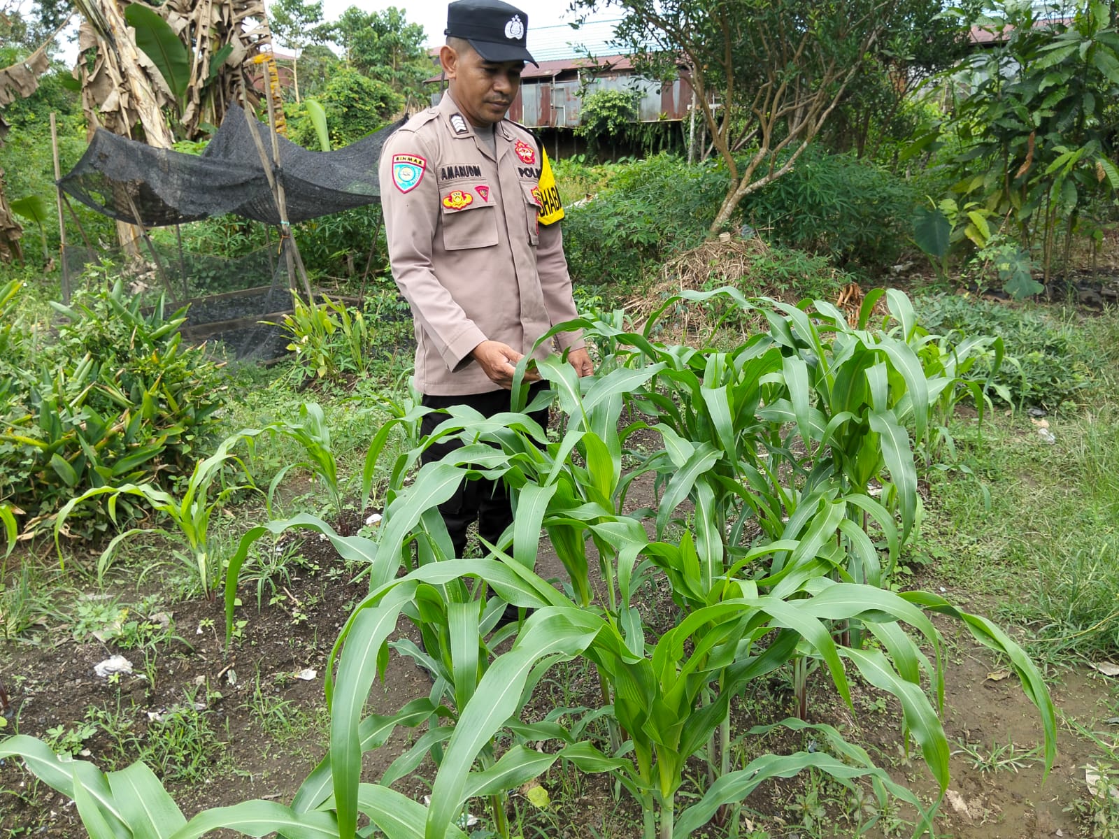 Wujudkan Swasembada pangan, Dukung Asta Cita Polsek Marikit Cek Lokasi Pemanfaatan Pekarangan Warga di Kec. Marikit, Kab. Katingan
