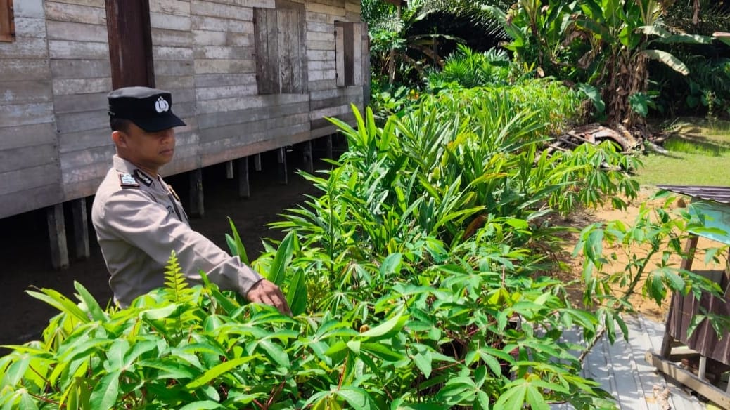 Dukung Ketahanan Pangan, Polsek Tewang Sangalang Garing dan Pulau Malan Imbau Warga Terus Manfaatkan Lahan Pekarangan