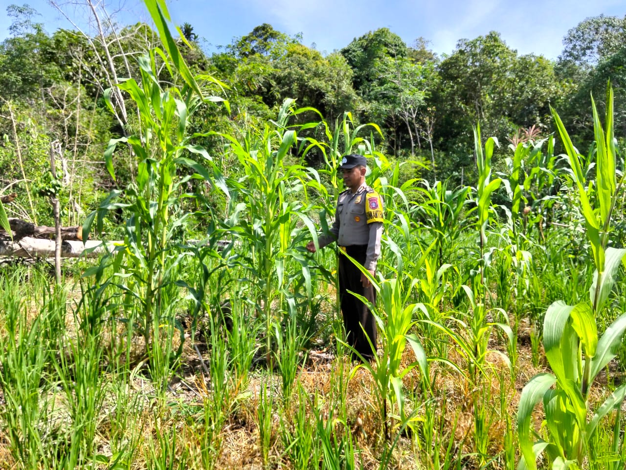 Personil Cek Lokasi Pemanfaatan Pekarangan Warga di Kec. Marikit, Kab. Katingan.