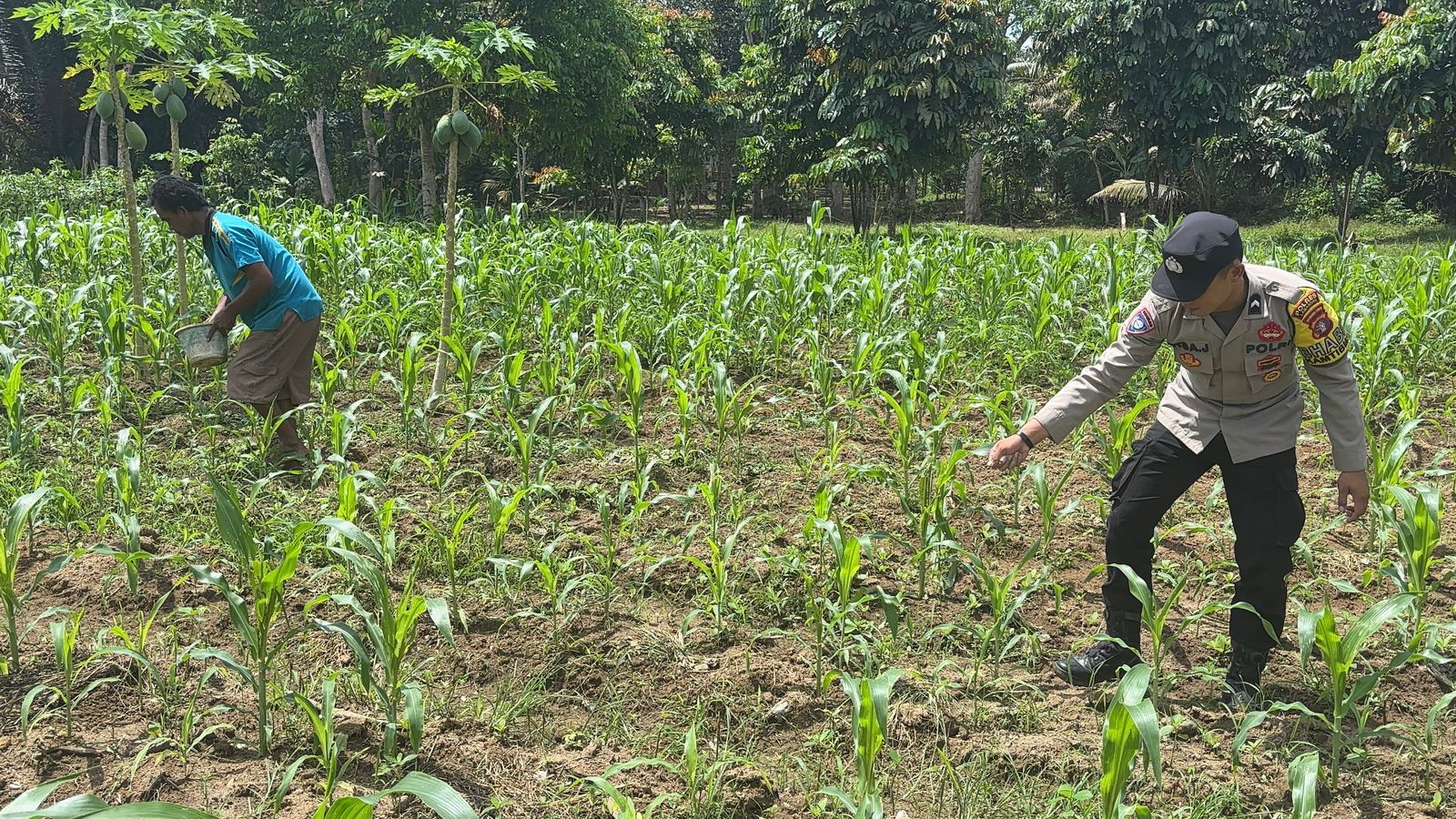 Dukung Ketahanan Pangan, Bhabinkamtibmas Polsek Lamandau Silaturahmi ke masyarakat terkait Program Asta Cita Presiden RI