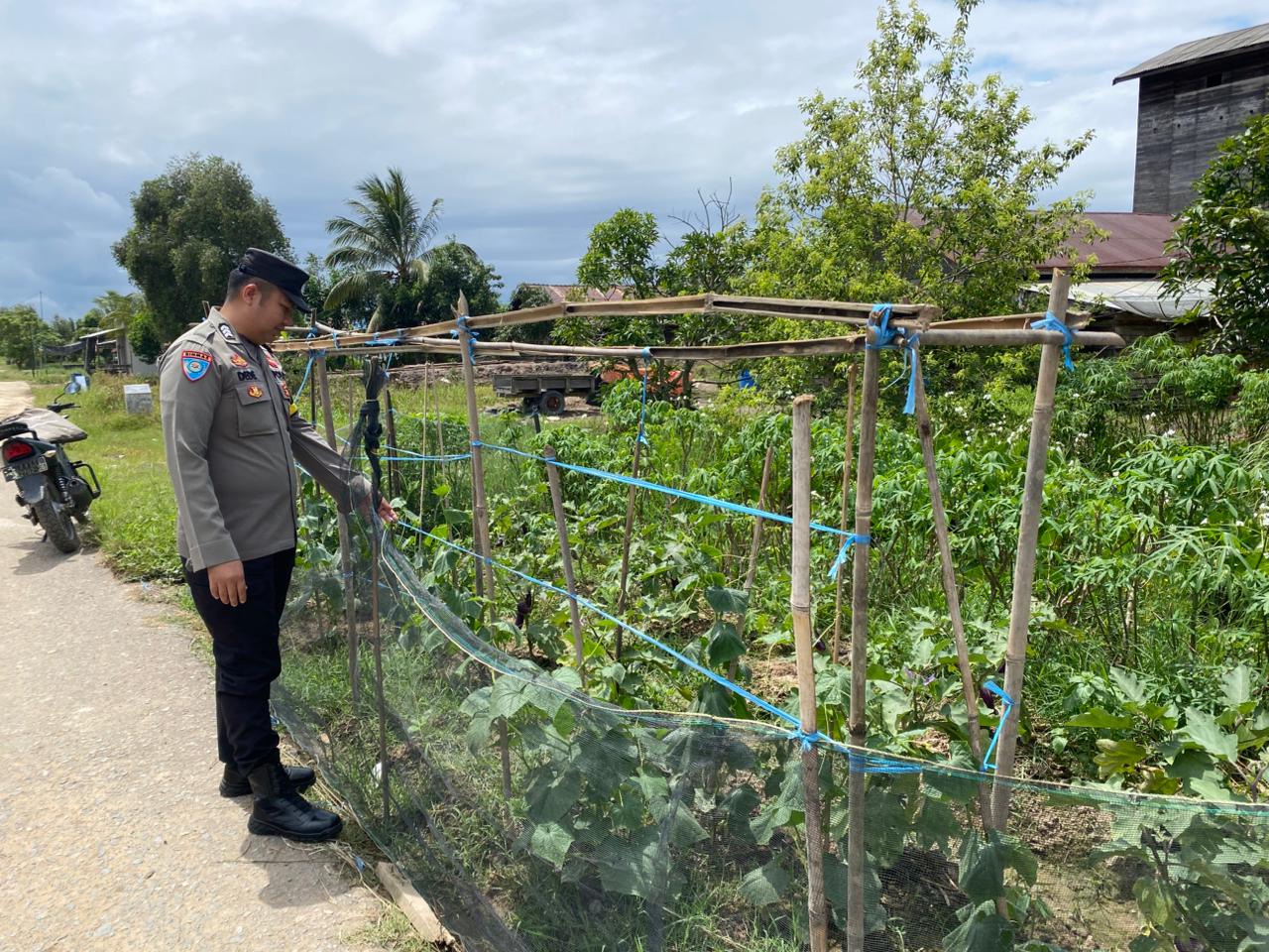 Bhabinkamtibmas Desa Jaya Makmur Cek Lokasi Pemanfaatan Lahan Pekarangan Warga