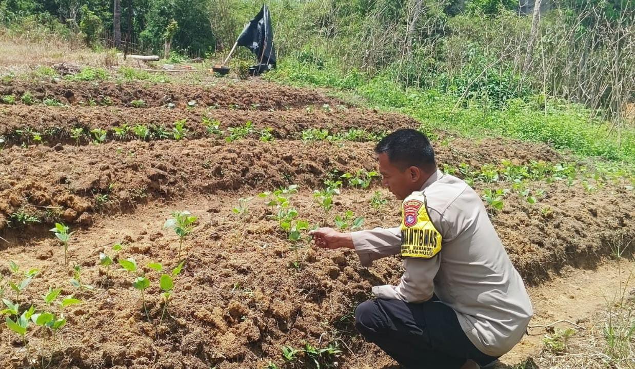 Mendukung Ketahanan Pangan, Personil Polsek Katingan Hulu Cek Lokasi Pemanfaatan Pekarangan Warga.