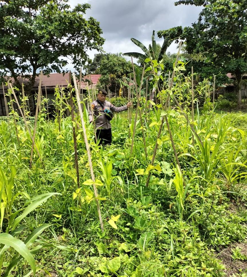 Mendukung Ketahanan Pangan, Personil Polsek sanaman mantikei Cek Lokasi Pemanfaatan Pekarangan Warga.