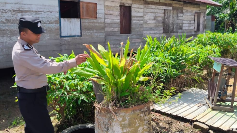 Dukung Ketahanan Pangan, Polsek Tewang Sangalang Garing dan Pulau Malan Imbau Warga Terus Manfaatkan Lahan Pekarangan