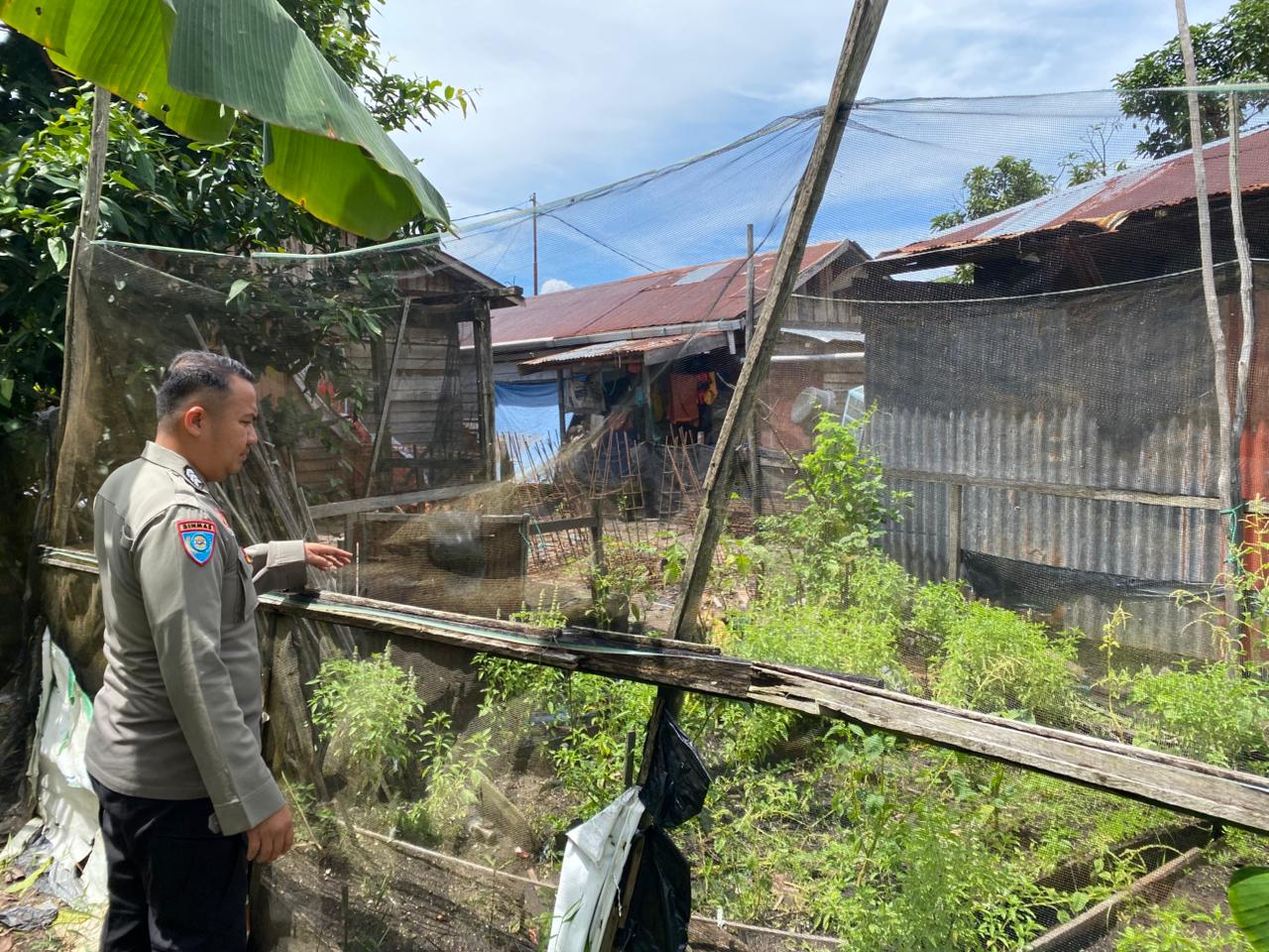 Bhabinkamtibmas Desa Jaya Makmur Cek Lokasi Pemanfaatan Lahan Pekarangan Warga