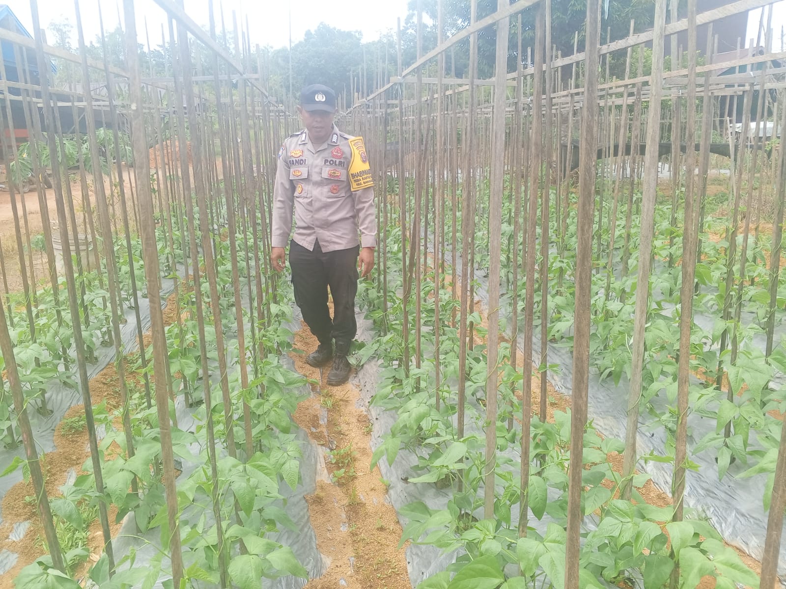 Personil Polsek Sanaman Mantikei Cek Lokasi Pemanfaatan Pekarangan Warga.