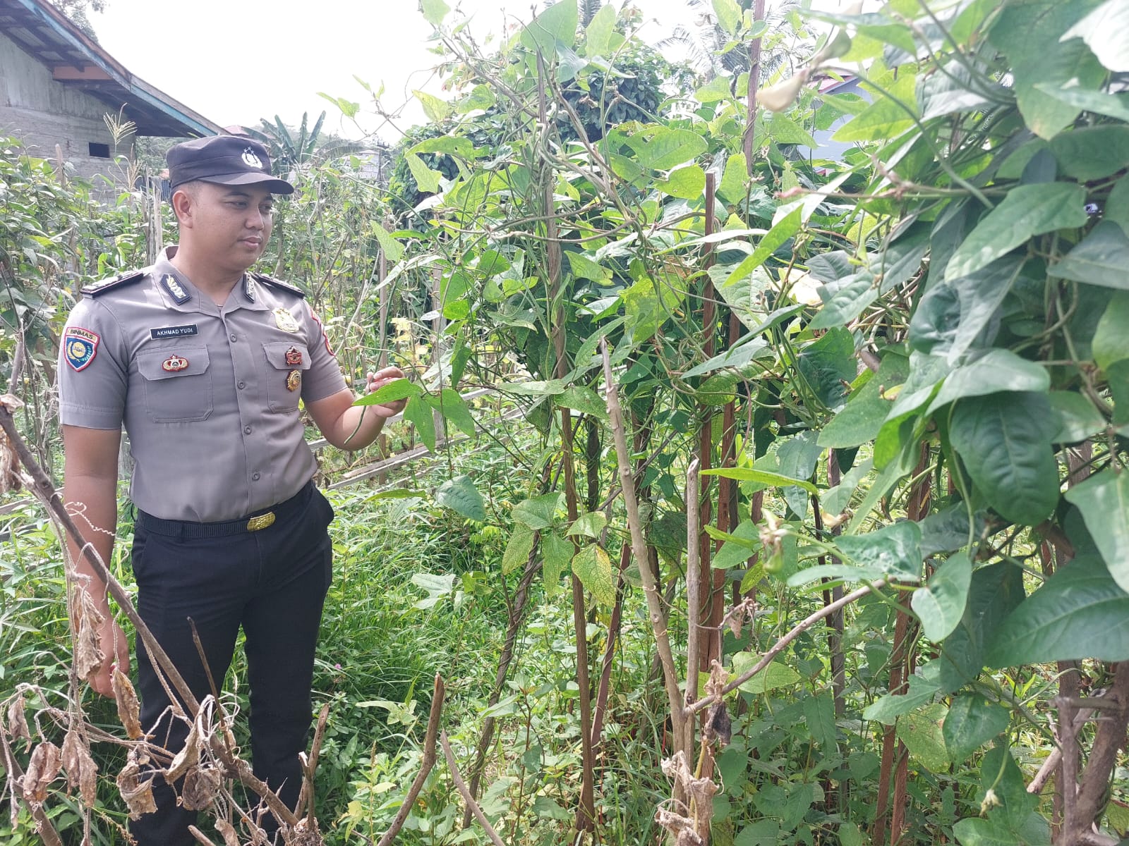 Polsek Marikit melaksanakan kegiatan pengecekan pemanfaatan lahan dalam program Ketahanan Pangan bentuk Dukungan terhadap Kebijakan Presiden RI tentang Asta Cita Ketahanan Pangan