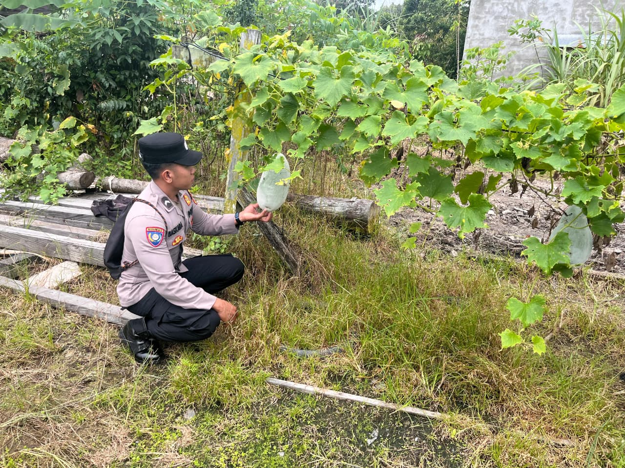 Bhabinkamtibmas Bersama Warga, Wujudkan Ketahanan Pangan Lewat Program Asta Cita