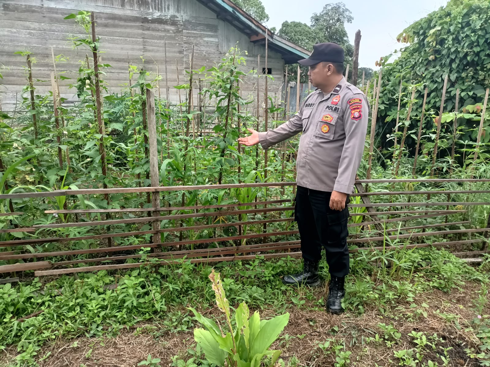 Personil Polsek Marikit Cek Lokasi Pemanfaatan Pekarangan Warga di Kec. Marikit, Kab. Katingan.