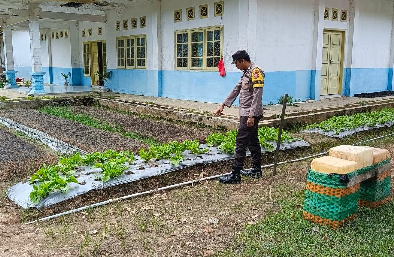 Bhabinkamtibmas Laksanakan Calling System, Ajak Warga Manfaatkan Pekarangan Bergizi untuk Ketahanan Pangan
