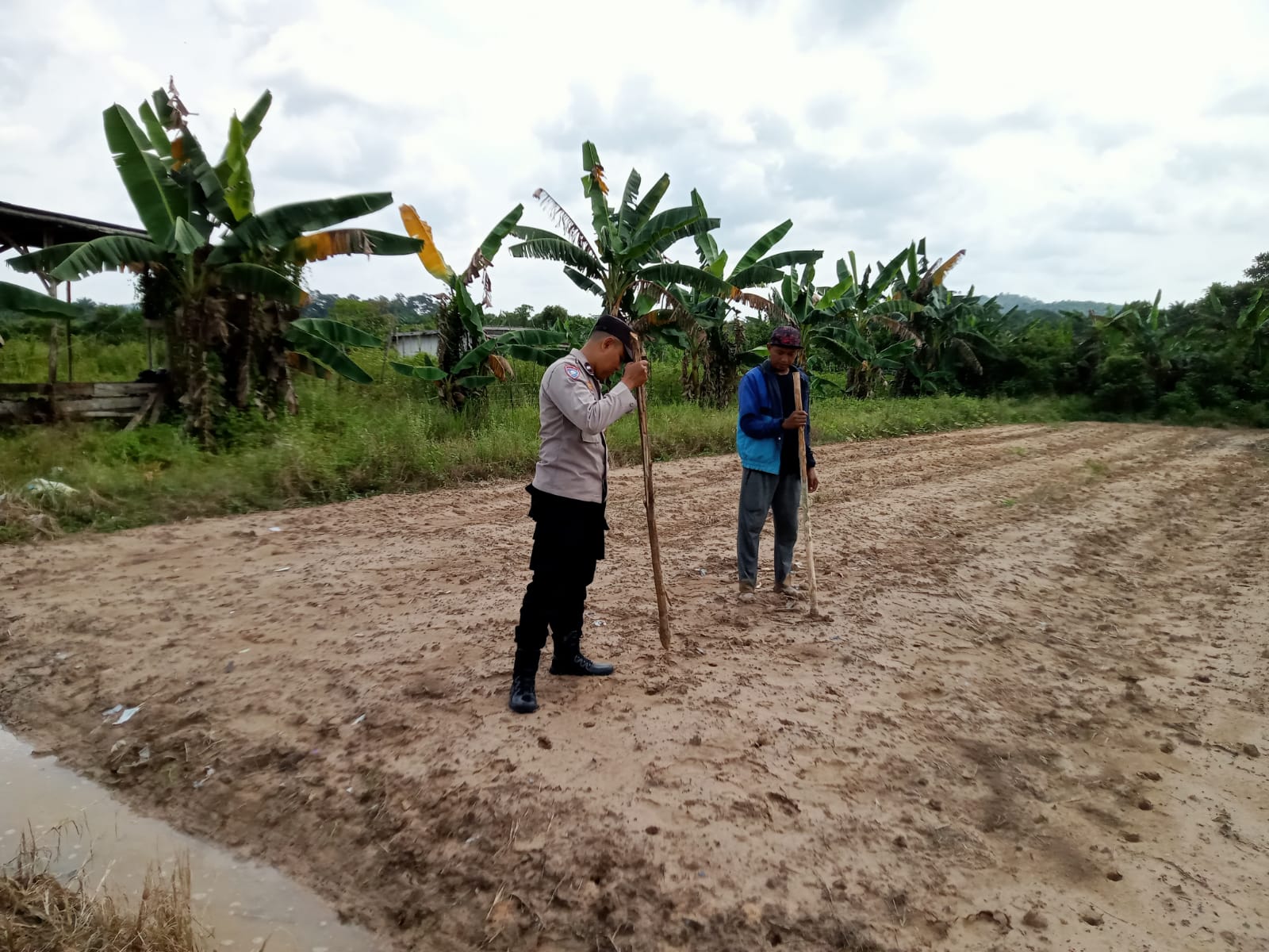 Bhabinkamtibmas Polsek Bulik Bersama Warga Tanam Jagung Dukung Ketahanan Pangan