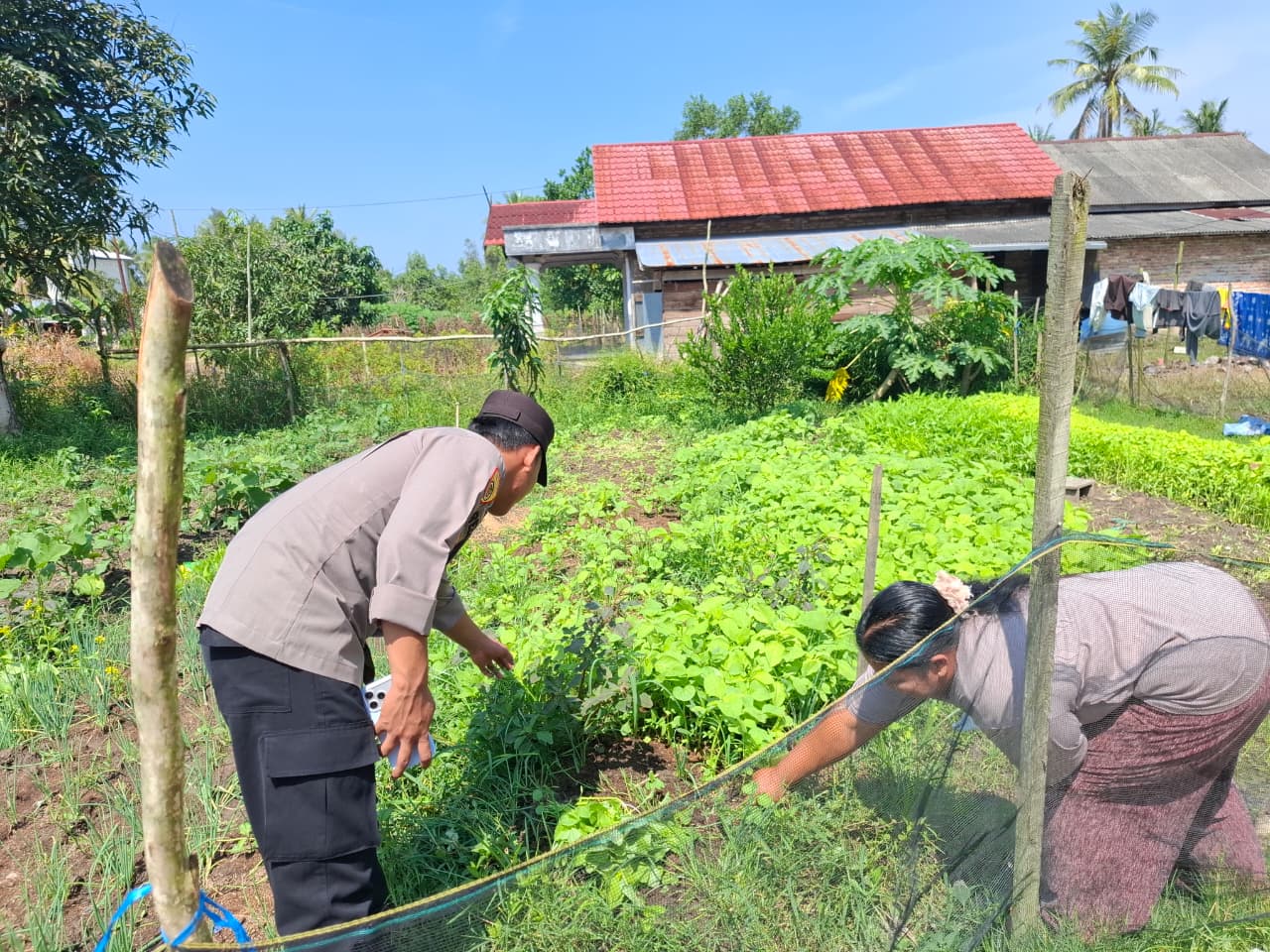 Mendukung ketahanan pangan, Personil Polsek Katingan Kuala cek lokasi pemanfaatan lahan warga berkebun holtikultura