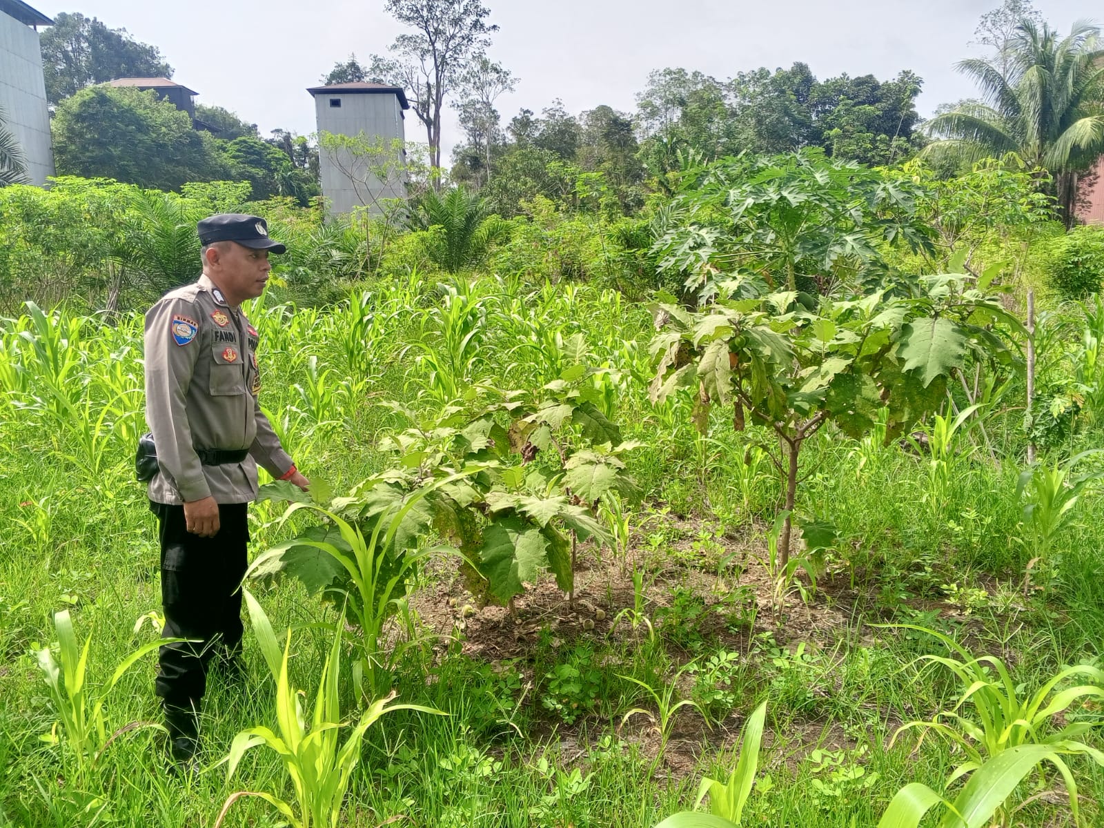 Personil Polsek Sanaman Mantikei Cek Lokasi Pemanfaatan Pekarangan Warga.